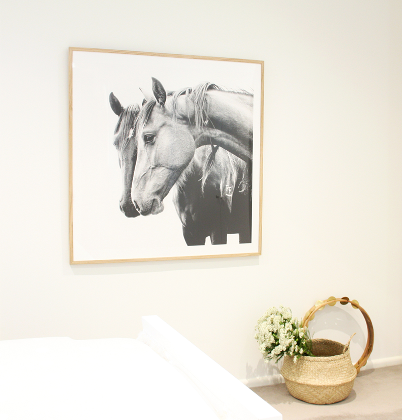 horse poster