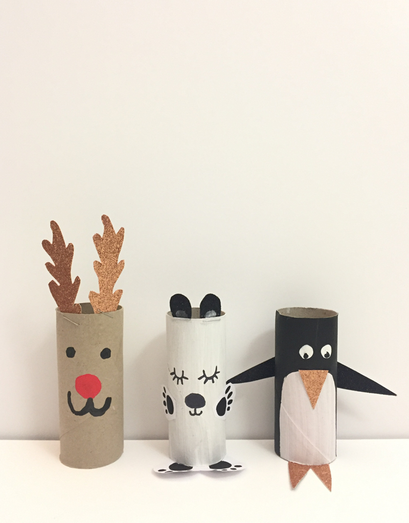 diy toilet paper rolls