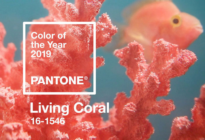 pantone 2019 livig coral kid's rooms