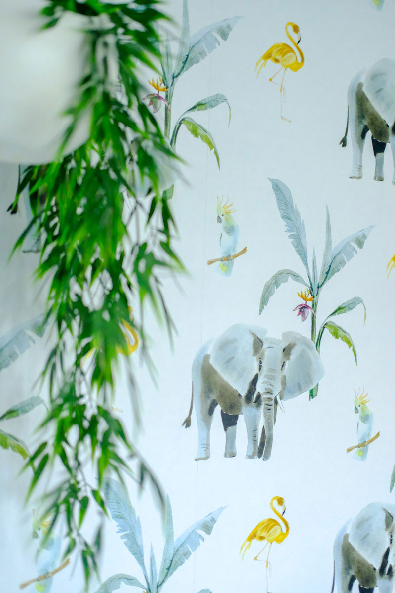 safari elephant wallpaper