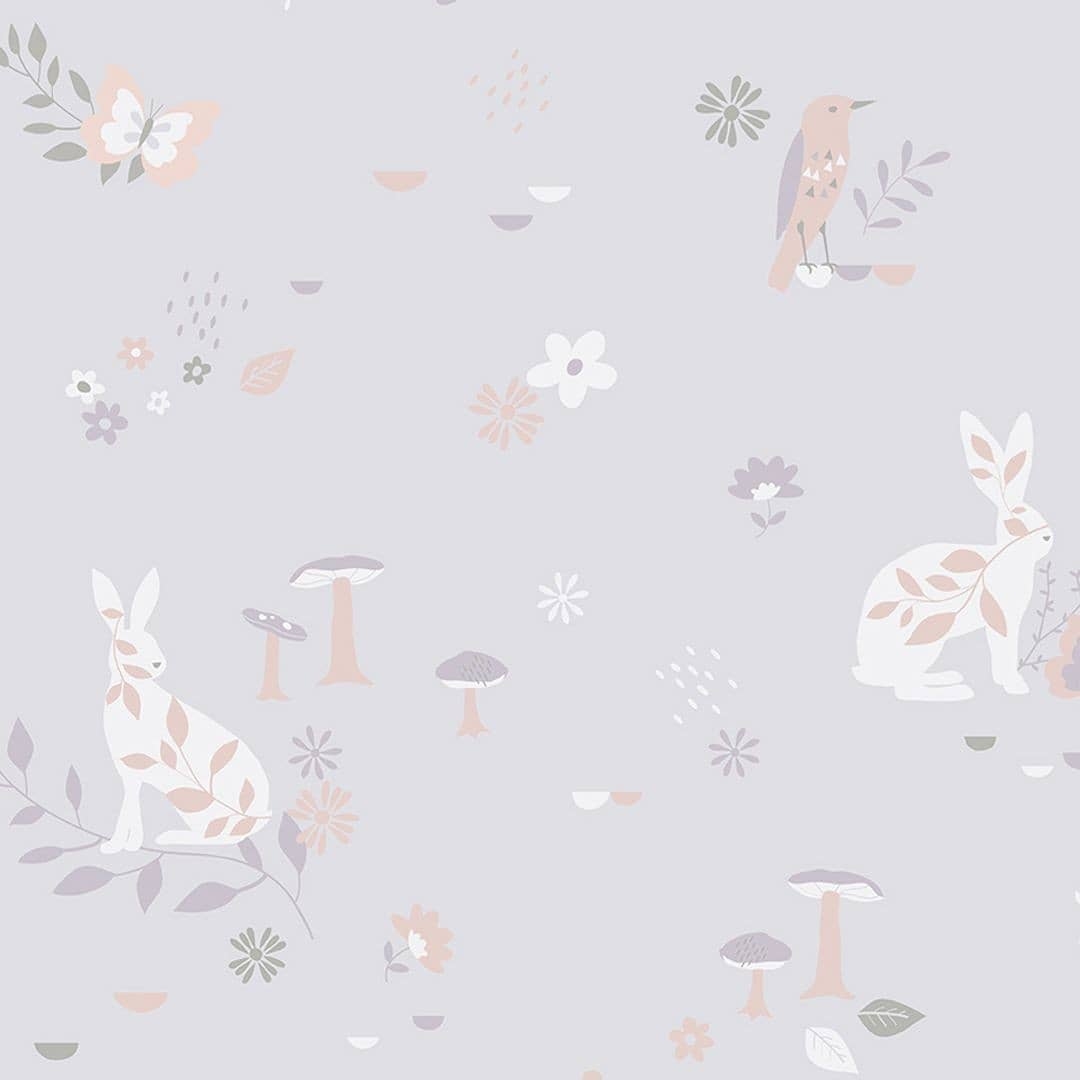 rabbit wallpaper
