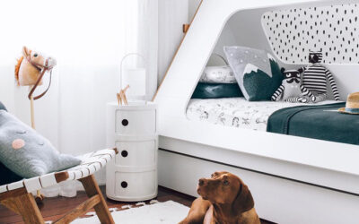 WHO LET THE DOGS INTO THE KID’S ROOM?