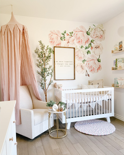 Rocky Mountain Decals Kids Interiors